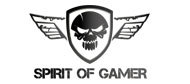 Lunettes polarisantes anti-fatigue Spirit of Gamer