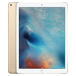 Apple iPad Pro 12,9 - Wi-Fi - 256 Go - Gold - Reconditionné