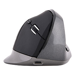 Bluestork Ergonomic