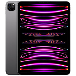 Apple iPad Pro 2022 12.9 pouces Wi-Fi + Cellular - 2 To - Gris sidéral